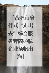合肥市陪伴式“走出去”综合服务专窗护航企业扬帆出海