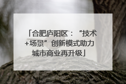 合肥庐阳区：“技术+场景”创新模式助力城市商业再升级