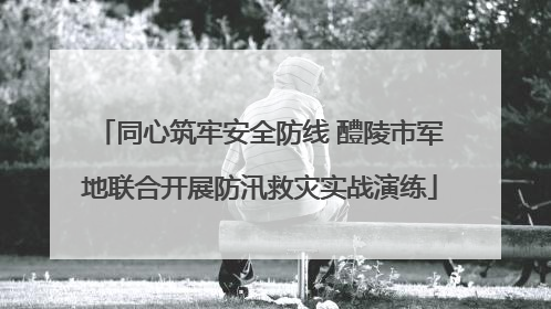 同心筑牢安全防线 醴陵市军地联合开展防汛救灾实战演练