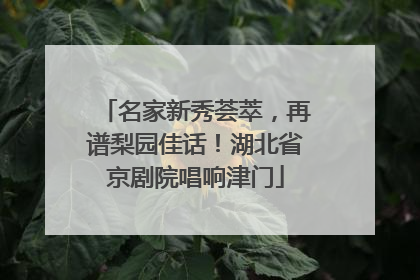 名家新秀荟萃，再谱梨园佳话！湖北省京剧院唱响津门