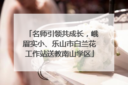 名师引领共成长，峨眉实小、乐山市白兰花工作站送教南山学区