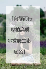 向绿而行 厚植高质量发展生态底色