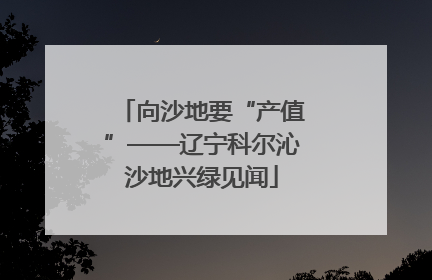 向沙地要“产值”——辽宁科尔沁沙地兴绿见闻