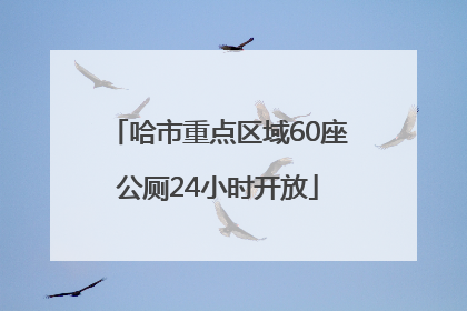 哈市重点区域60座公厕24小时开放