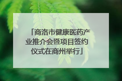 商洛市健康医药产业推介会暨项目签约仪式在商州举行