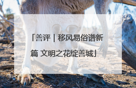 善评｜移风易俗谱新篇 文明之花绽善城