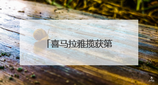 喜马拉雅揽获第十六届虎啸奖七项大奖，领航音频营销新生态