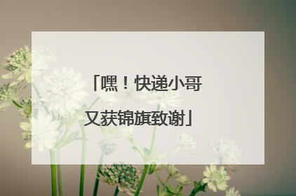 嘿！快递小哥又获锦旗致谢
