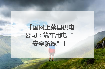 国网上蔡县供电公司：筑牢用电“安全防线”