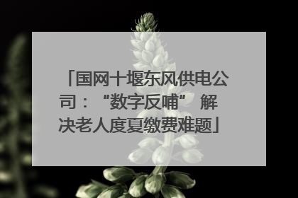 国网十堰东风供电公司：“数字反哺” 解决老人度夏缴费难题