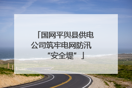 国网平舆县供电公司筑牢电网防汛“安全堤”