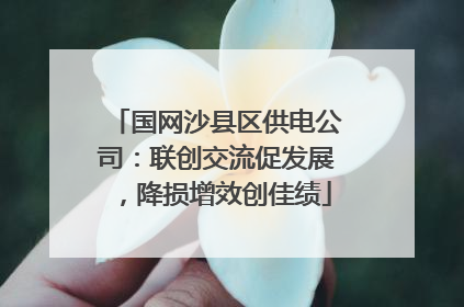 国网沙县区供电公司：联创交流促发展，降损增效创佳绩