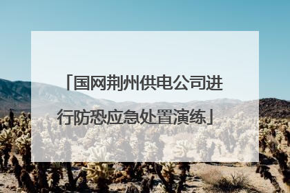 国网荆州供电公司进行防恐应急处置演练