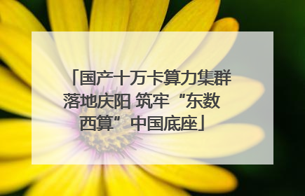国产十万卡算力集群落地庆阳 筑牢“东数西算”中国底座