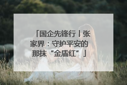 国企先锋行丨张家界：守护平安的那抹“金盾红”