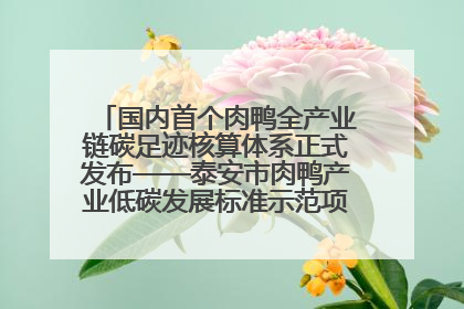 国内首个肉鸭全产业链碳足迹核算体系正式发布——泰安市肉鸭产业低碳发展标准示范项目顺利通过验收