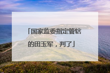 国家监委指定管辖的田玉军，判了