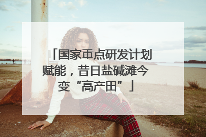 国家重点研发计划赋能，昔日盐碱滩今变“高产田”