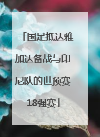 国足抵达雅加达备战与印尼队的世预赛18强赛