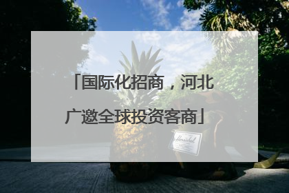 国际化招商，河北广邀全球投资客商