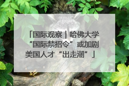国际观察｜哈佛大学“国际禁招令”或加剧美国人才“出走潮”