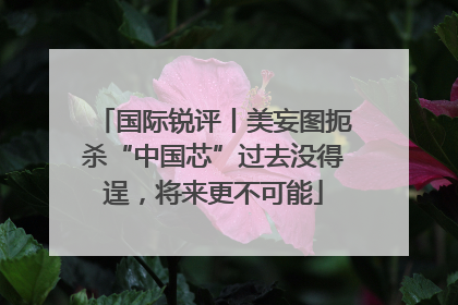 国际锐评丨美妄图扼杀“中国芯”过去没得逞，将来更不可能