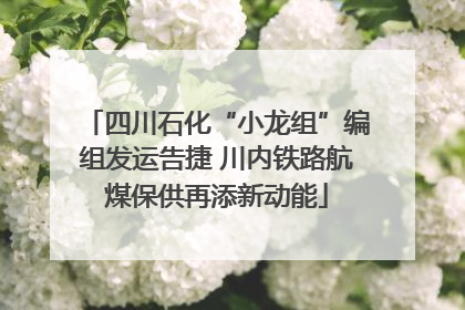 四川石化“小龙组”编组发运告捷 川内铁路航煤保供再添新动能