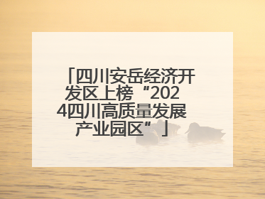 四川安岳经济开发区上榜“2024四川高质量发展产业园区”