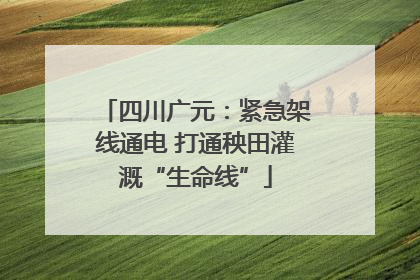 四川广元：紧急架线通电 打通秧田灌溉“生命线”