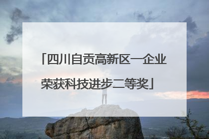四川自贡高新区一企业荣获科技进步二等奖