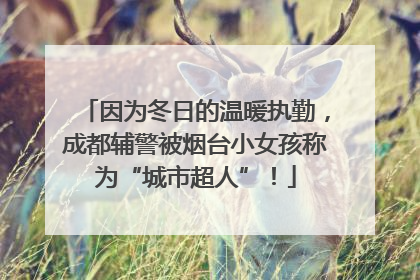 因为冬日的温暖执勤，成都辅警被烟台小女孩称为“城市超人”！