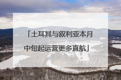 土耳其与叙利亚本月中旬起运营更多直航