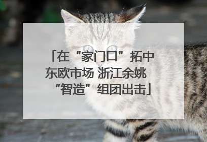 在“家门口”拓中东欧市场 浙江余姚“智造”组团出击