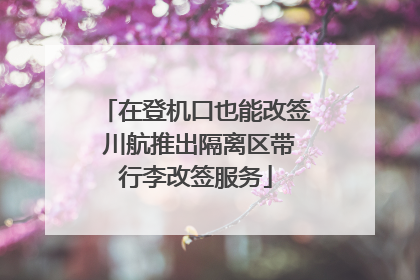 在登机口也能改签 川航推出隔离区带行李改签服务