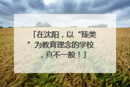 在沈阳，以“臻美”为教育理念的学校，真不一般！