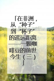 在非洲，从“种子”到“杯子”的遥远距离——一颗咖啡豆的前世今生（三）