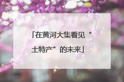 在黄河大集看见“土特产”的未来