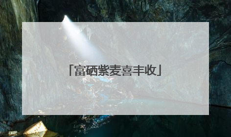 富硒紫麦喜丰收