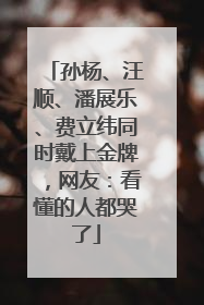 孙杨、汪顺、潘展乐、费立纬同时戴上金牌，网友：看懂的人都哭了