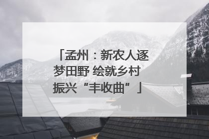 孟州：新农人逐梦田野 绘就乡村振兴“丰收曲”