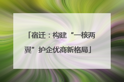 宿迁：构建“一核两翼”护企优商新格局