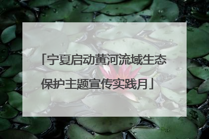 宁夏启动黄河流域生态保护主题宣传实践月