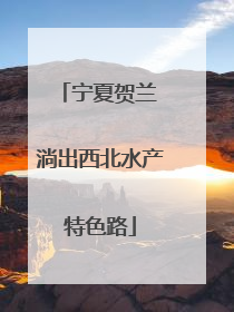 宁夏贺兰 淌出西北水产特色路