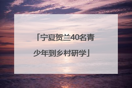 宁夏贺兰40名青少年到乡村研学