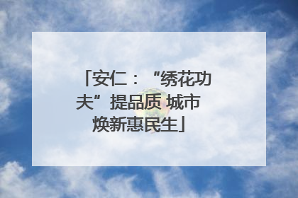 安仁：“绣花功夫”提品质 城市焕新惠民生