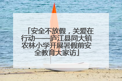 安全不放假，关爱在行动——庐江县同大镇农林小学开展暑假前安全教育大家访