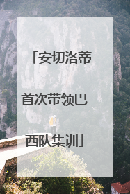 安切洛蒂首次带领巴西队集训