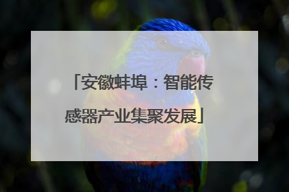 安徽蚌埠：智能传感器产业集聚发展