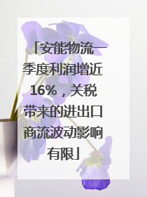 安能物流一季度利润增近16%，关税带来的进出口商流波动影响有限