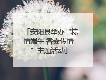 安阳县举办“粽情端午 香囊传情”主题活动